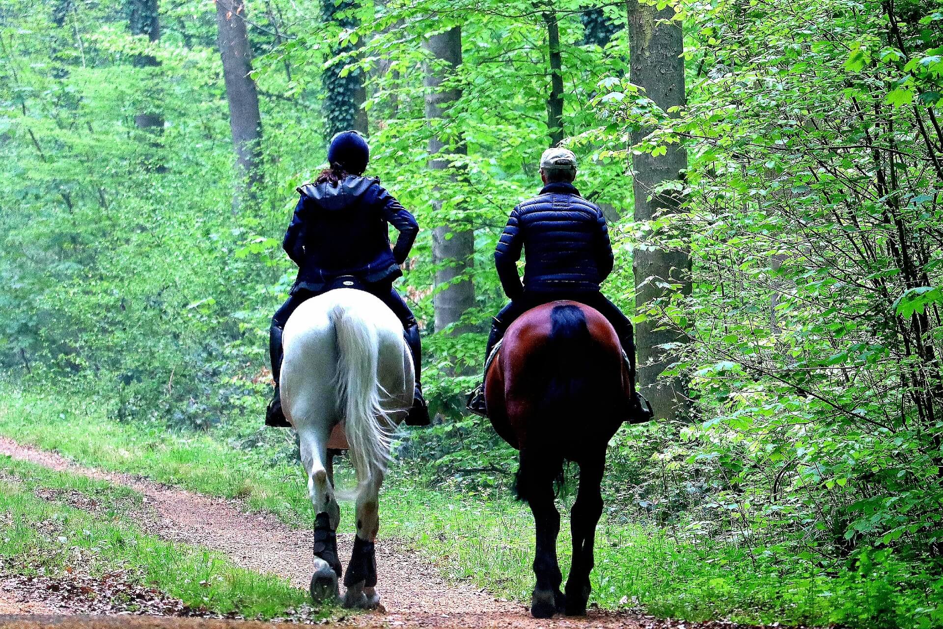 Couple à cheval dans la forêt